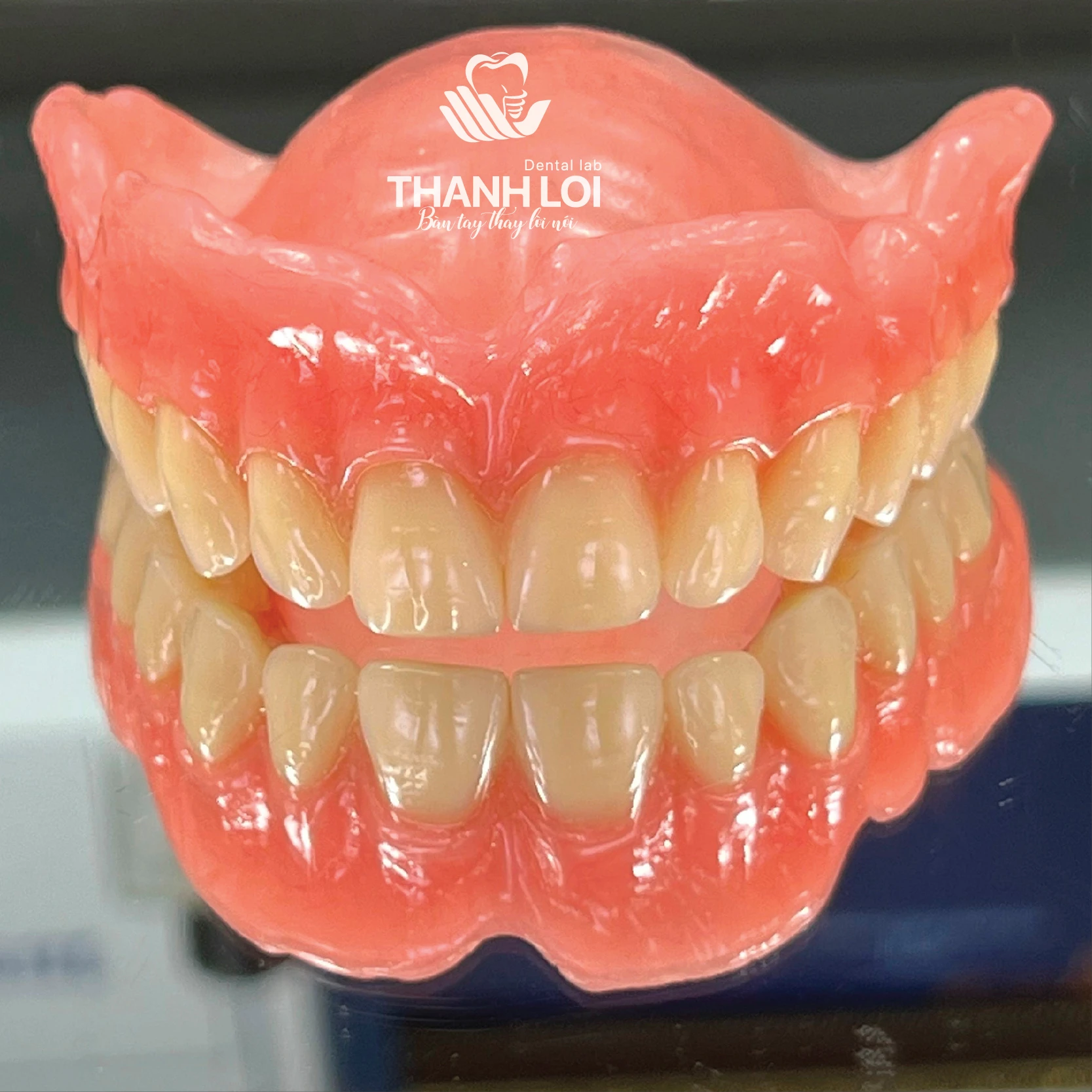 Tháo lắp nhựa Ivobase